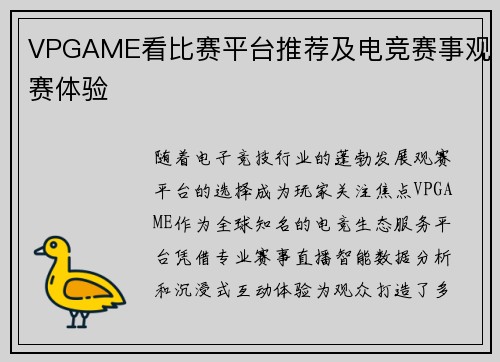 VPGAME看比赛平台推荐及电竞赛事观赛体验