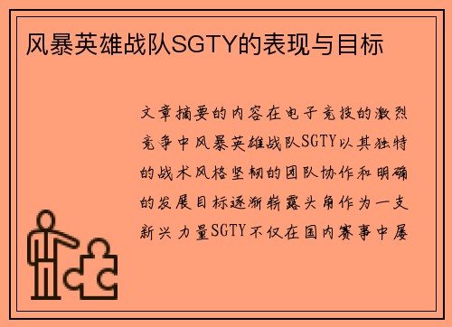 风暴英雄战队SGTY的表现与目标